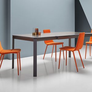 Table SALT extensible