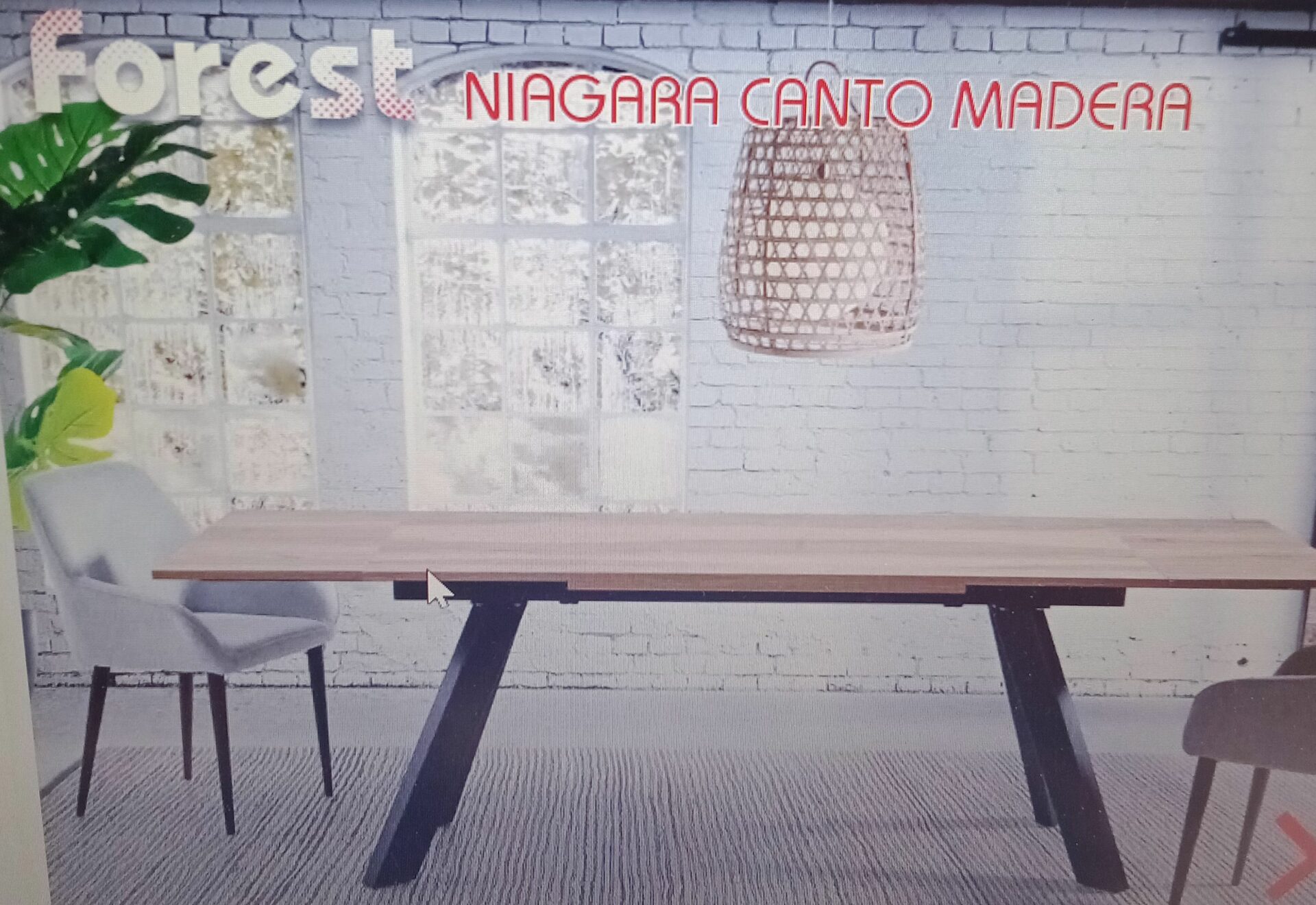 TABLE FORESTINE – Image 2